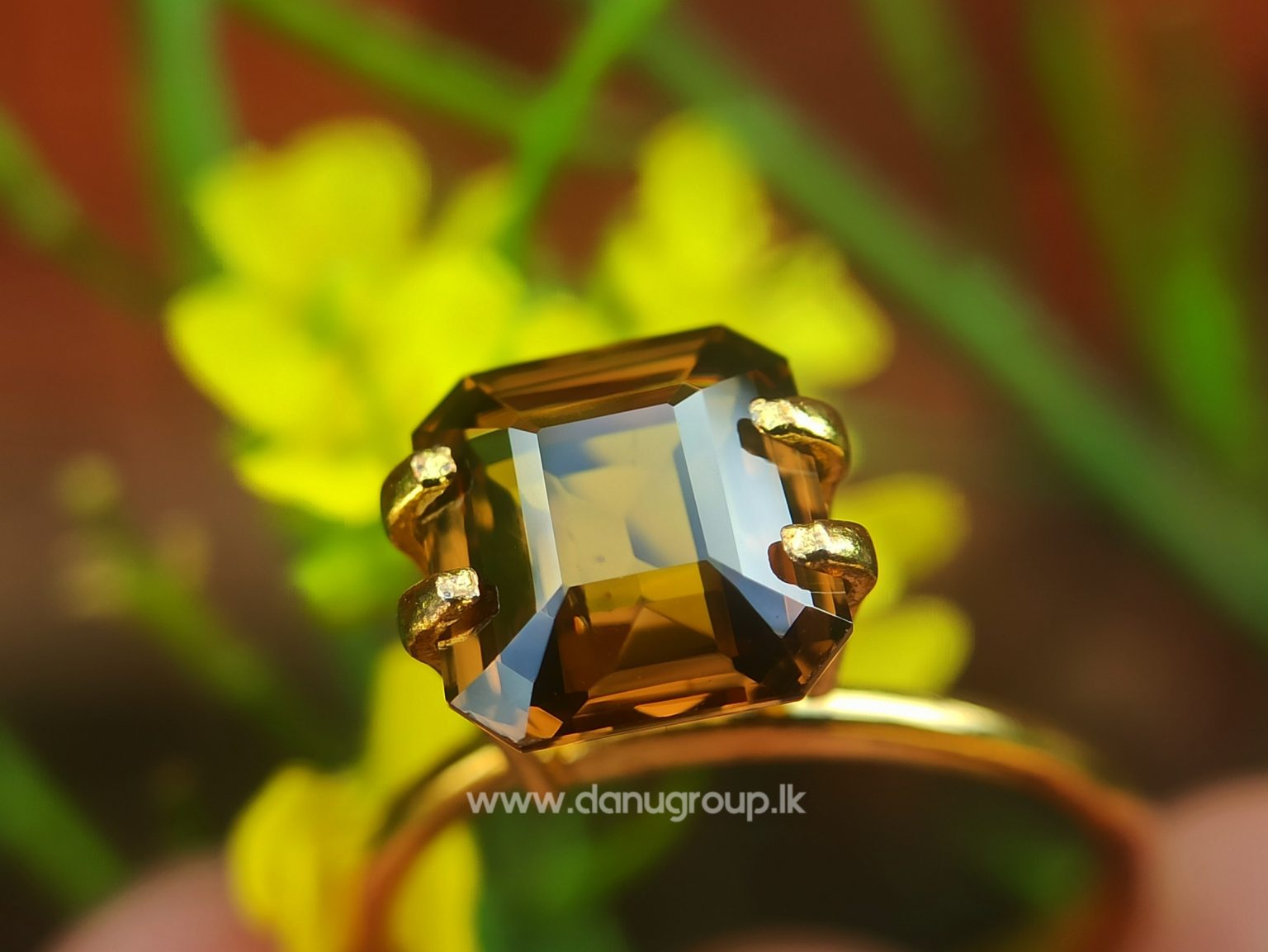 Jackwood brown zircon Natural brown zircon Danu group Gemstones - danugroup.lk
