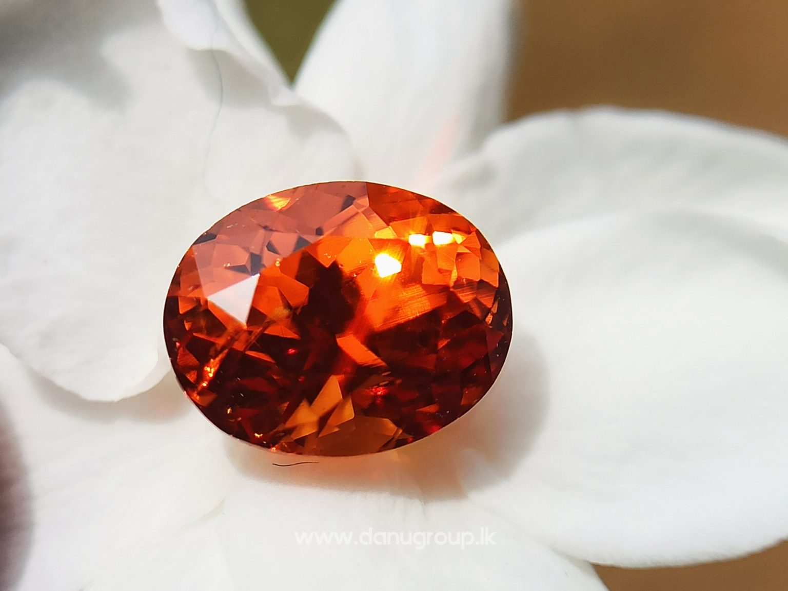 Natural Vivid Orange Spessartite Garnet Danu Group Gemstones - danugroup.lk