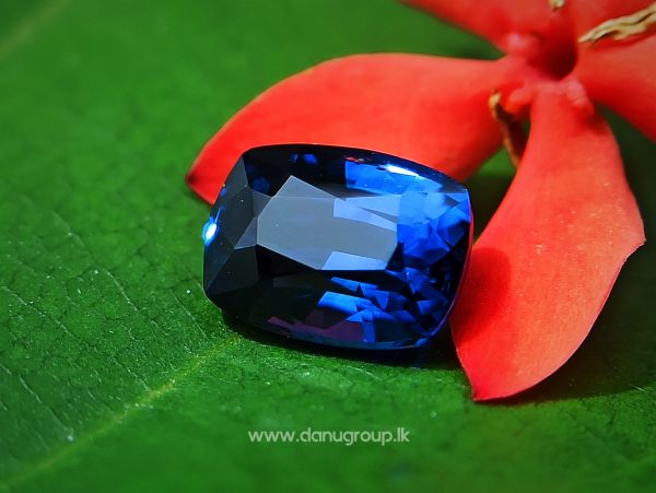 Best Quality Ceylon Vivid Royal Blue Sapphire - Top Quality Danu Group Gemstones Collections - danugroup.lk