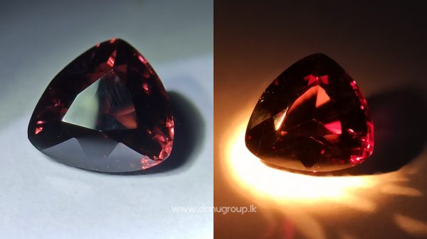 Ceylon Natural Colour Change Zircon Danu Group Gemstones Collection