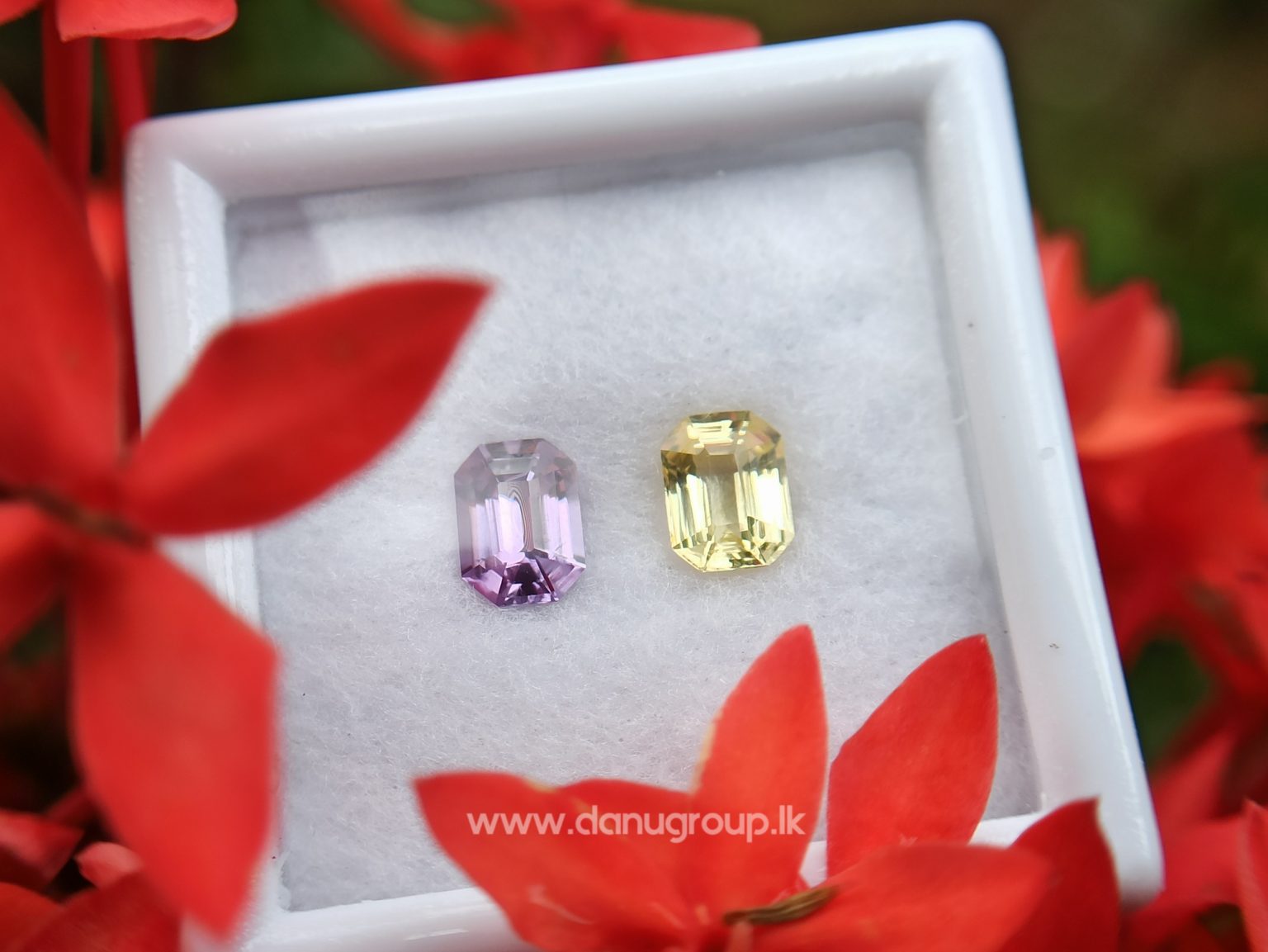 Ceylon Natural Fancy Sapphire couple Pirple and yellow sapphire Danu Group