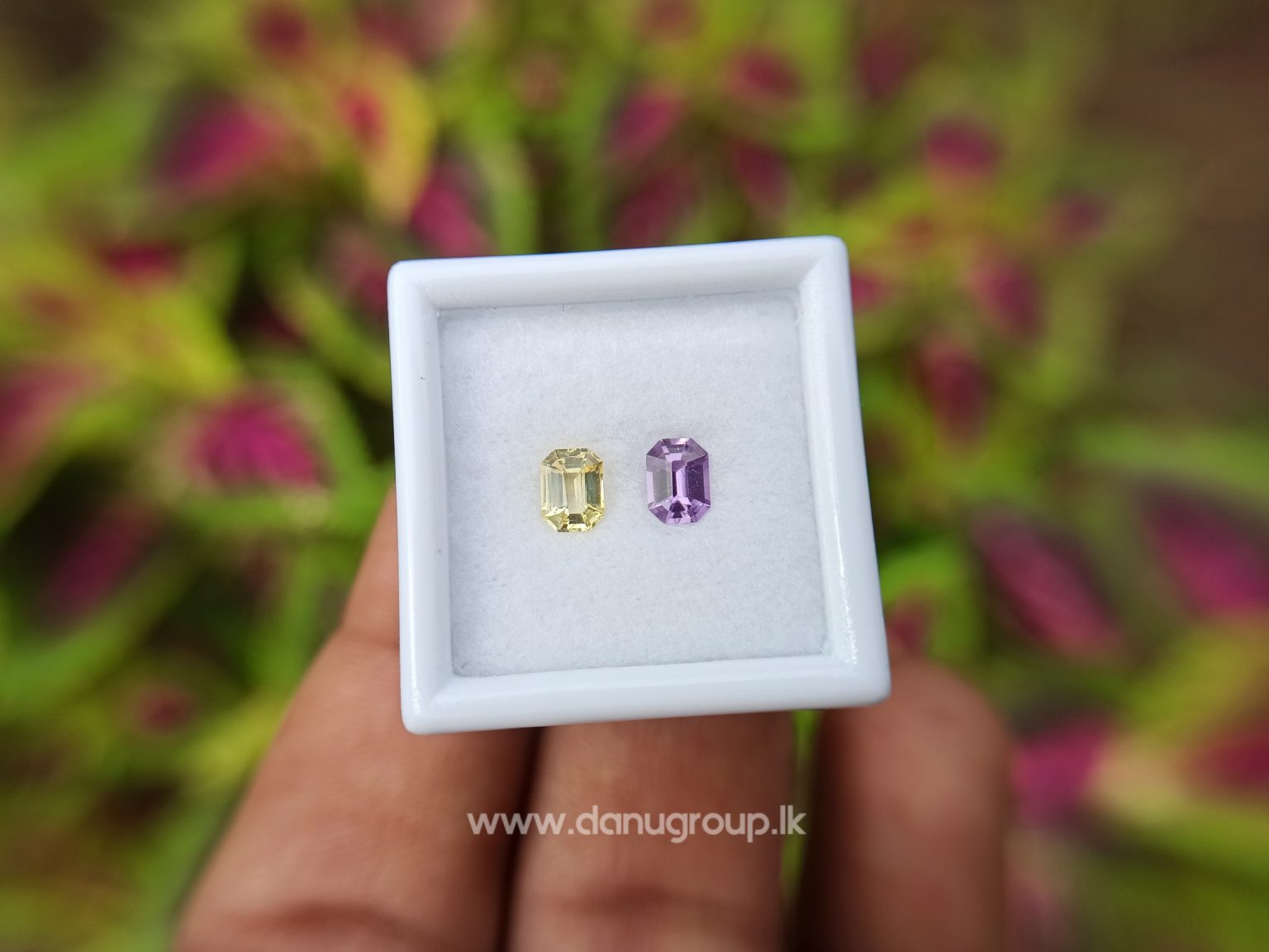 Ceylon Natural Fancy Sapphire couple Pirple and yellow sapphire Danu Group