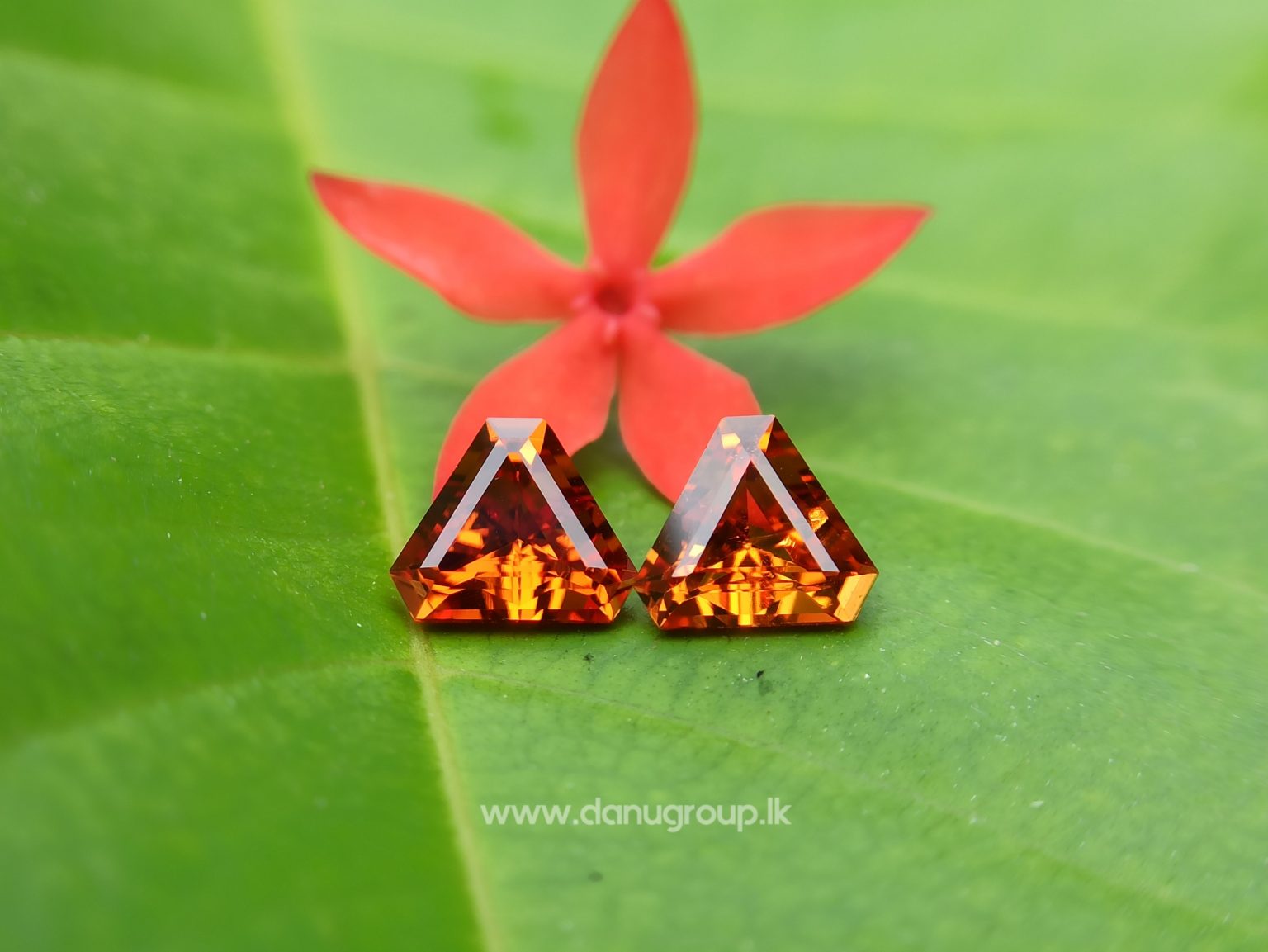 Natural Spessartite Garnet Pair - Fancy shape pair for nice earring design from Danu Group - danugroup.lk