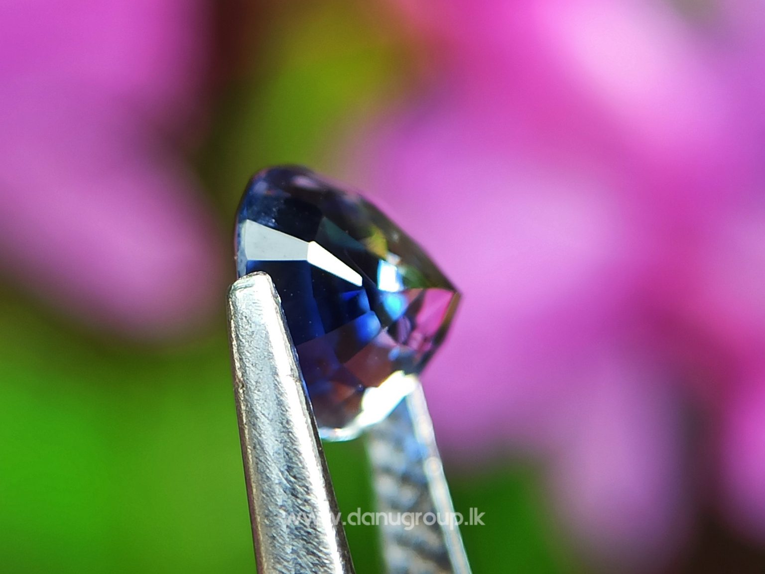 White And Blue - Natural Bi Colour Sapphire from Danu Group Gemstones Collection