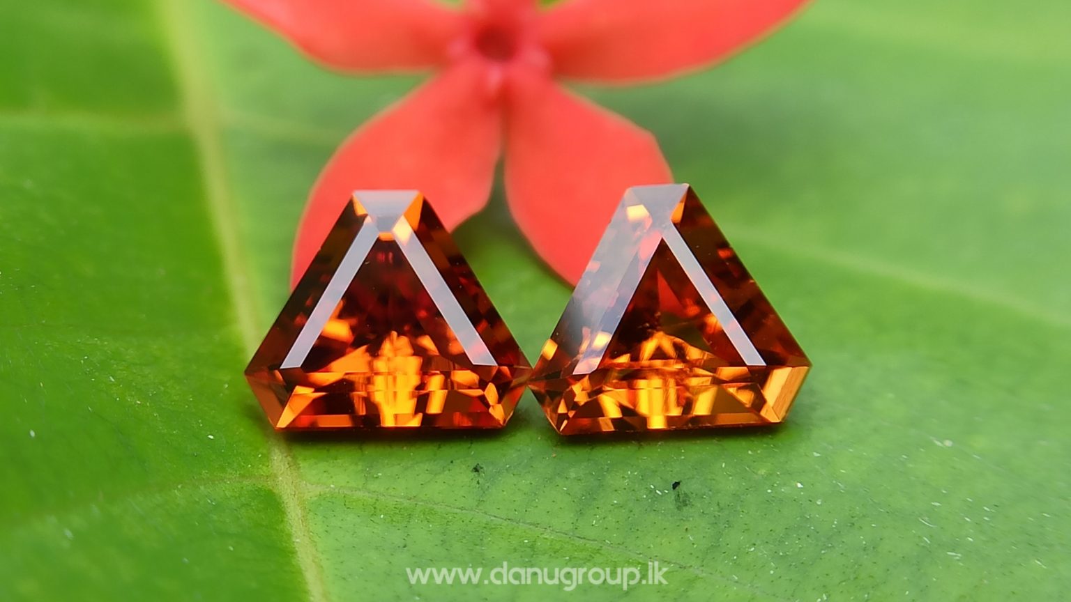 Natural Spessartite Garnet Pair - Fancy shape pair for nice earring design from Danu Group - danugroup.lk