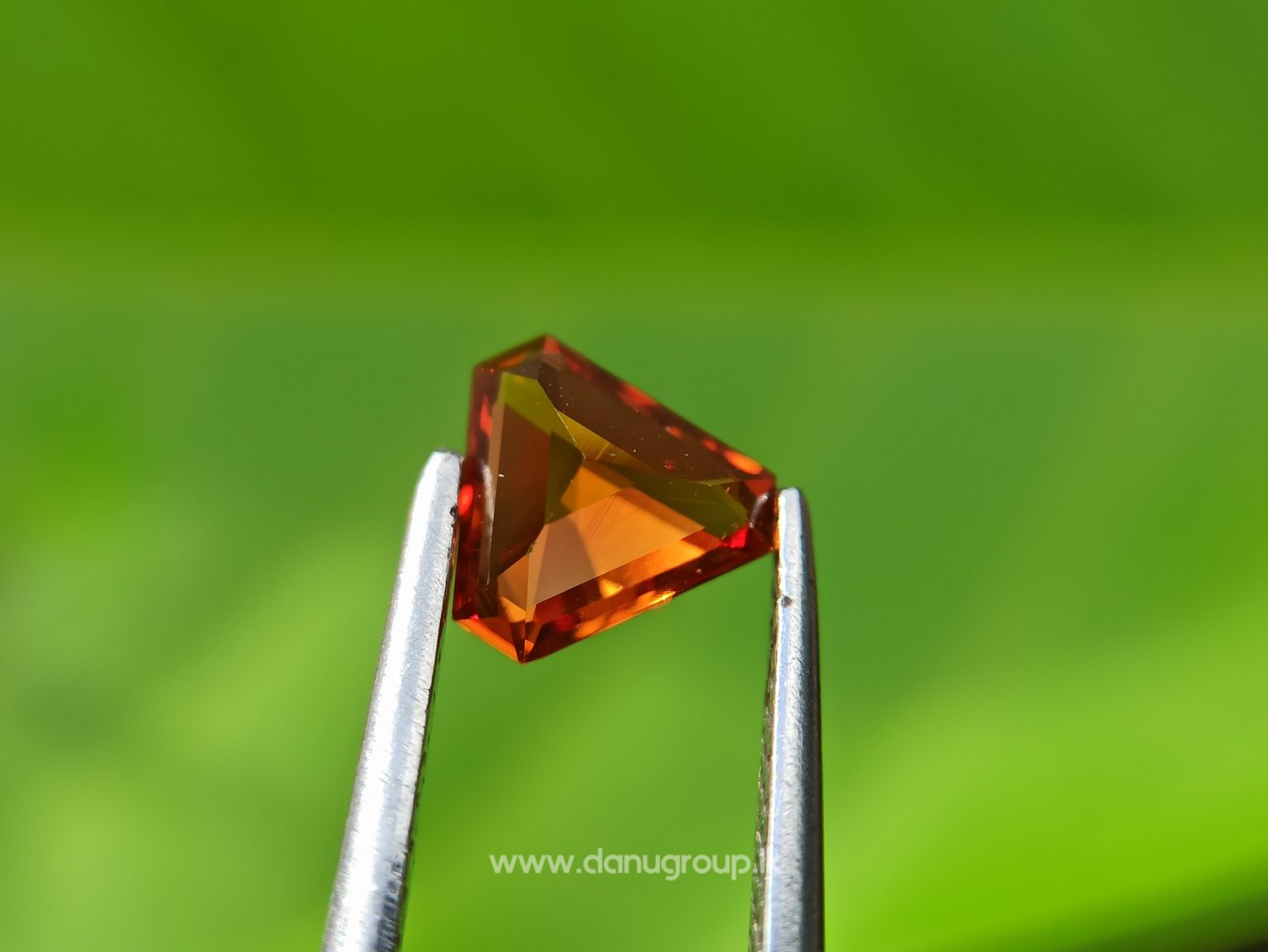 Natural Spessartite Garnet Pair - Fancy shape pair for nice earring design from Danu Group - danugroup.lk