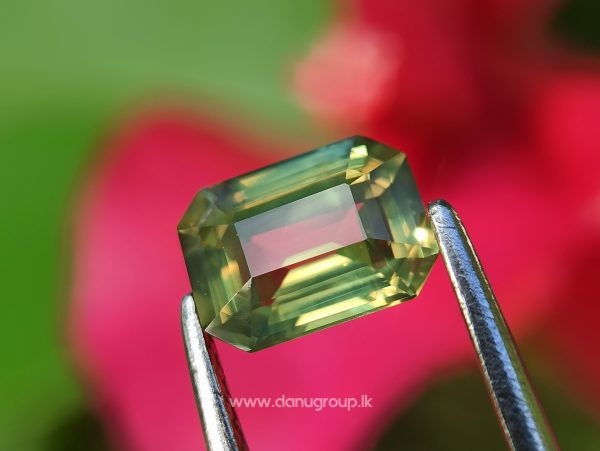 Ceylon Natural Chrysoberyl - Fine Quality Yellowish Green Chrysoberyl Emerald Cut gem from Danu Group