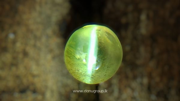 Ceylon Natural Chrysoberyl Cats Eye Good Transparent Quailty Cats eye from Danu Group Gemstones Appl Green Cats eye