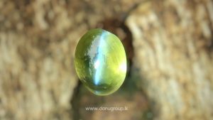 Ceylon Natural Chrysoberyl Cats Eye Danu Group