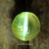 Ceylon Natural Chrysoberyl Cats Eye Good Transparent Quailty Cats eye from Danu Group Gemstones Appl Green Cats eye