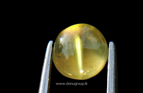 Ceylon Natural Chrysoberyl Cats Eye Good Transparent Quailty Cats eye from Danu Group Gemstones Appl Green Cats eye