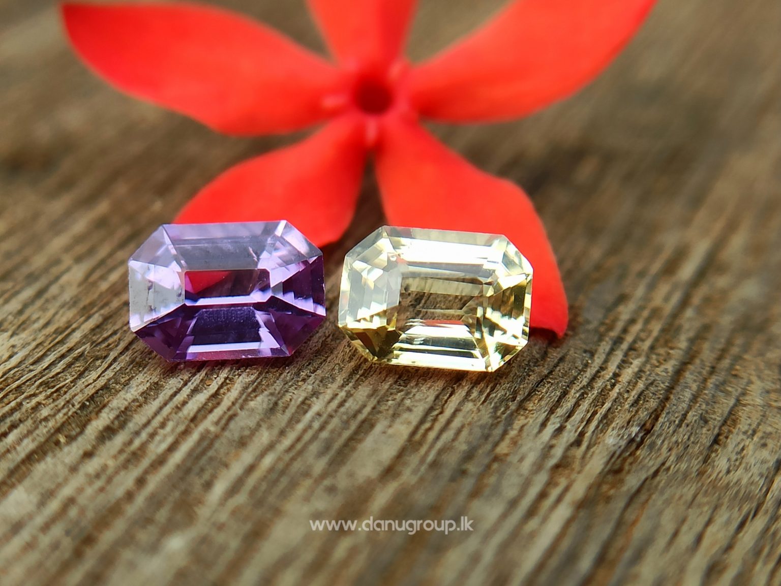 Ceylon Natural Fancy Sapphire couple Pirple and yellow sapphire Danu Group