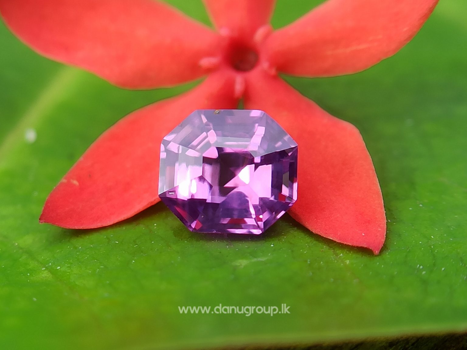 Intense Pink-Fuschia Colored SapphireCeylon Natural Pinkish Purple Sapphire Danu Group fine quality purple sapphire Octagon