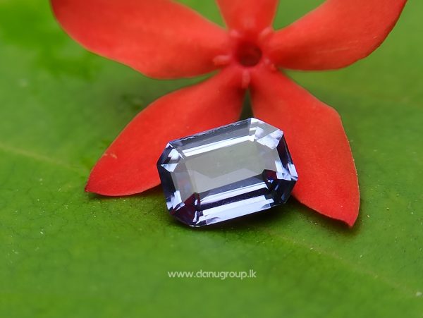 Ceylon Natural Violet Sapphire Loup Clean Octagon shape Stone from Danu Group
