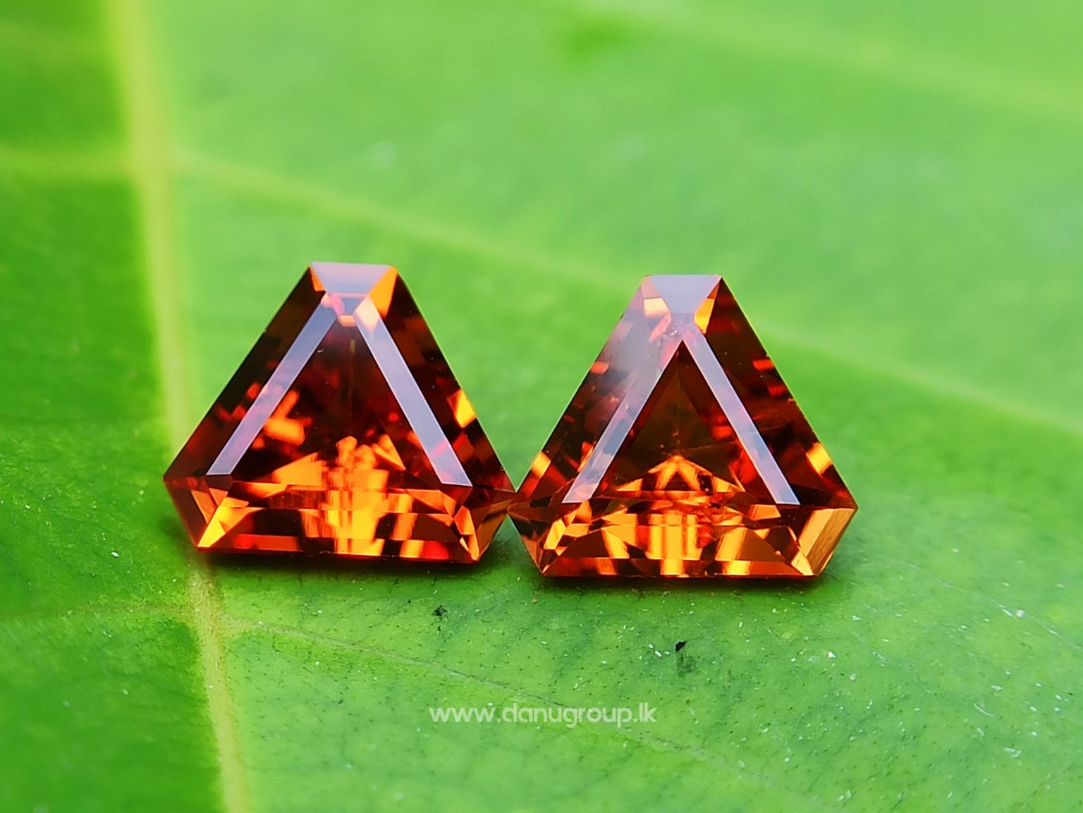 Natural Spessartite Garnet Pair - Fancy shape pair for nice earring design from Danu Group - danugroup.lk