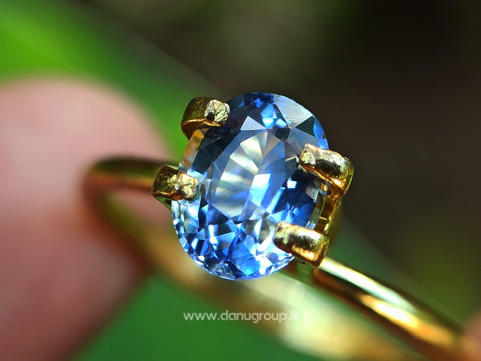 White And Blue - Natural Bi Colour Sapphire from Danu Group Gemstones Collection