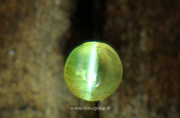 Ceylon Natural Chrysoberyl Cats Eye Good Transparent Quailty Cats eye from Danu Group Gemstones Appl Green Cats eye