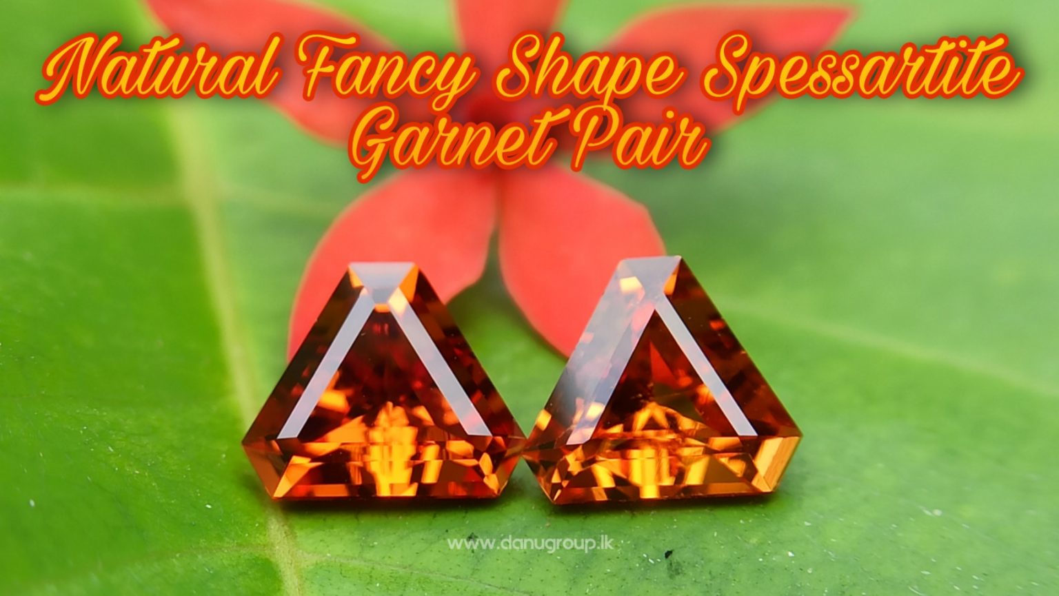 Natural Spessartite Garnet Pair - Fancy shape pair for nice earring design from Danu Group - danugroup.lk