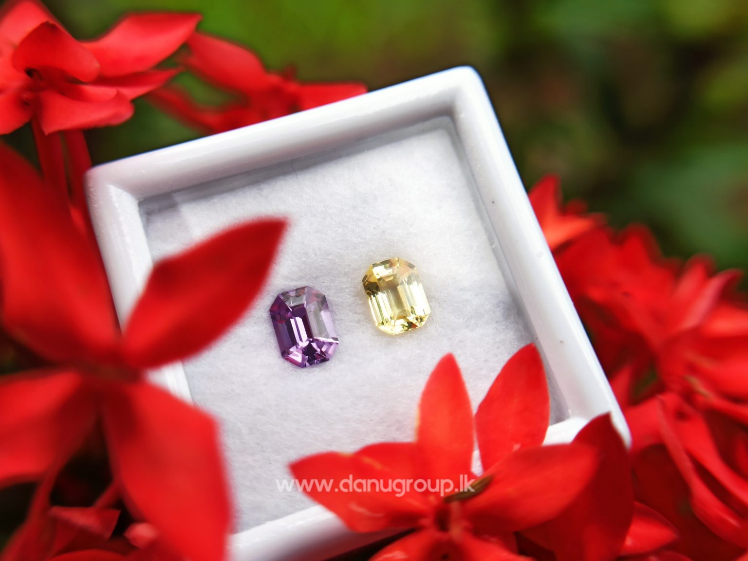 Ceylon Natural Fancy Sapphire couple Pirple and yellow sapphire Danu Group