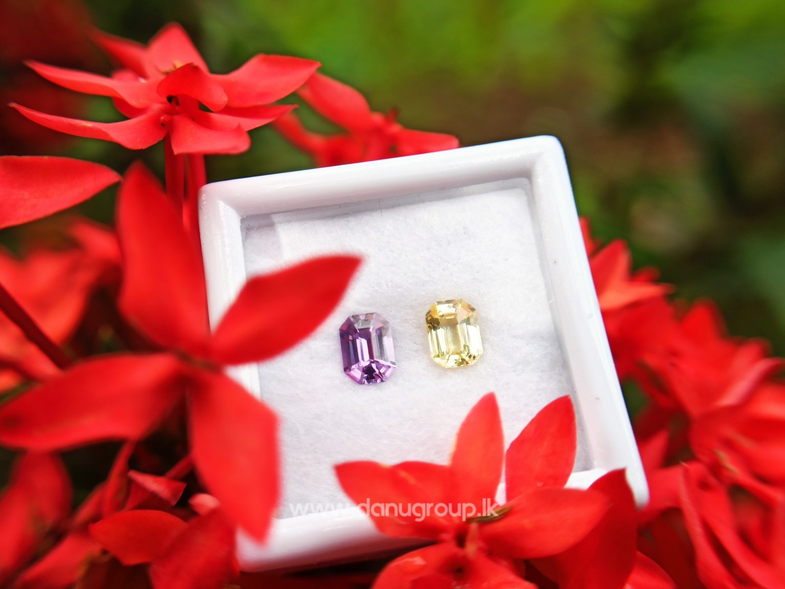 Ceylon Natural Fancy Sapphire couple Pirple and yellow sapphire Danu Group