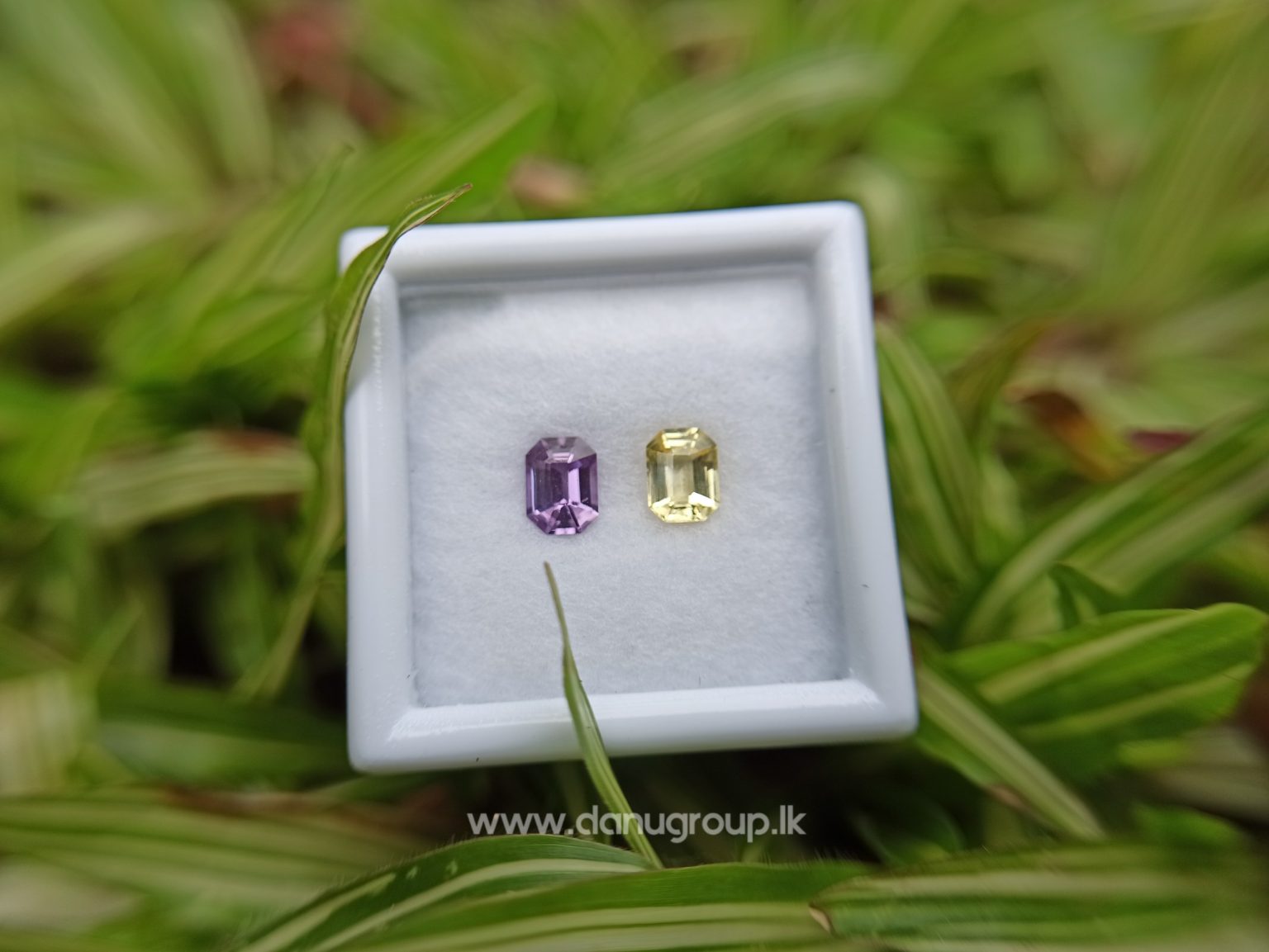 Ceylon Natural Fancy Sapphire couple Pirple and yellow sapphire Danu Group