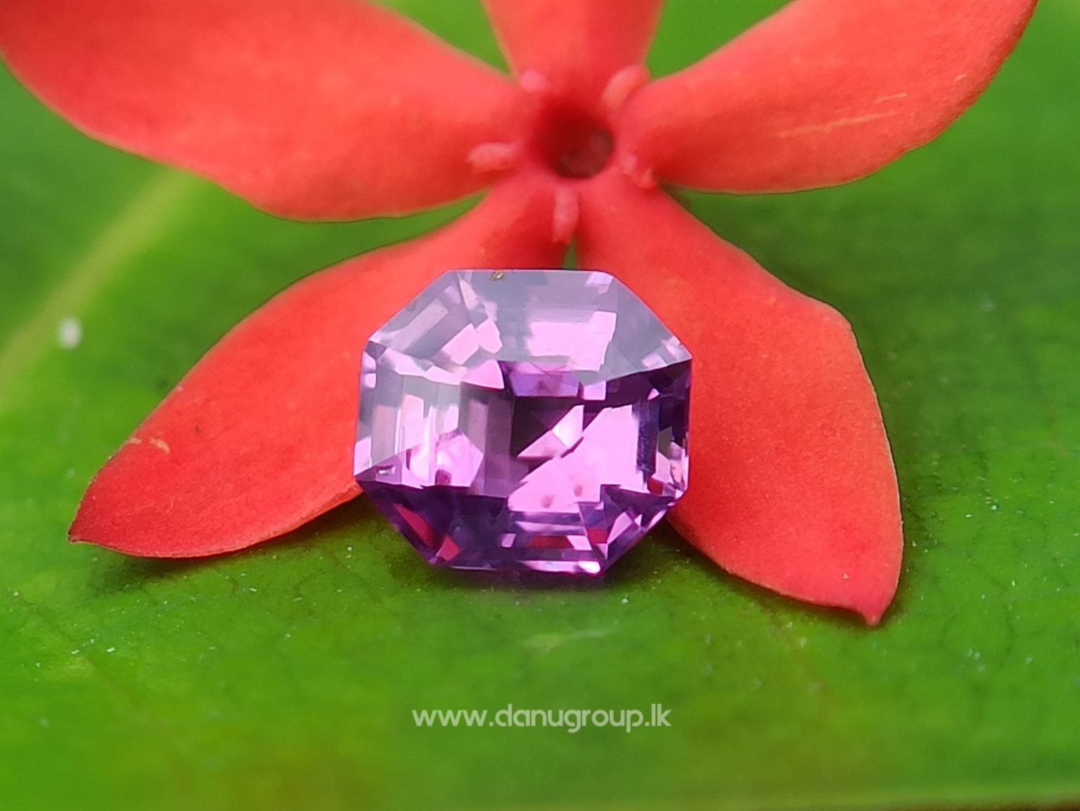 Intense Pink-Fuschia Colored SapphireCeylon Natural Pinkish Purple Sapphire Danu Group fine quality purple sapphire Octagon