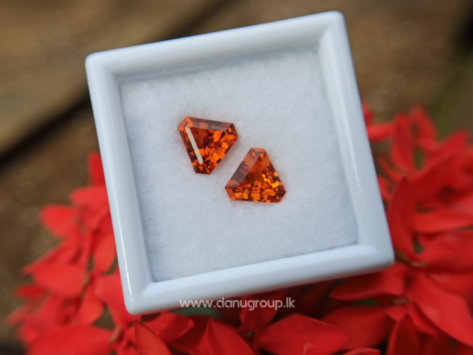 Natural Spessartite Garnet Pair - Fancy shape pair for nice earring design from Danu Group - danugroup.lk