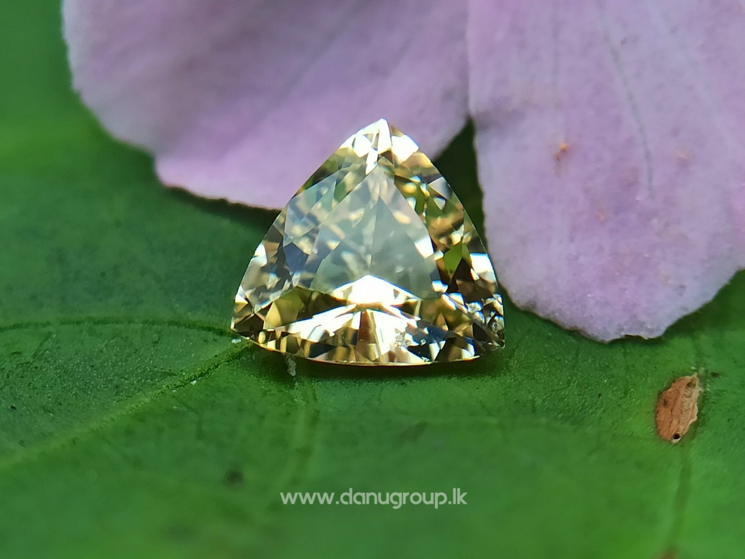 Ceylon Natural Yellow Sapphire - Danu Group Gemstones Collectiondanugroup.lk