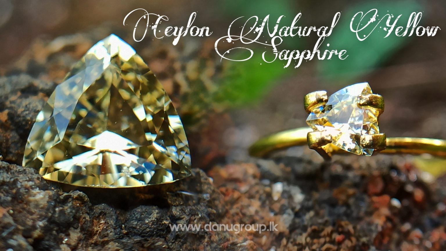 Ceylon Natural Yellow Sapphire - Danu Group Gemstones Collectiondanugroup.lk