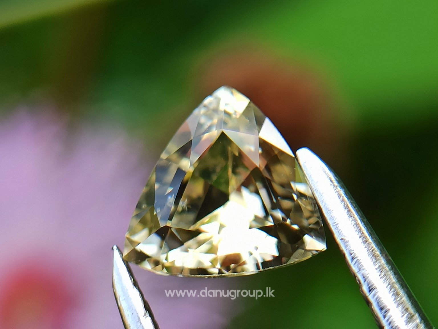 Ceylon Natural Yellow Sapphire - Danu Group Gemstones Collectiondanugroup.lk