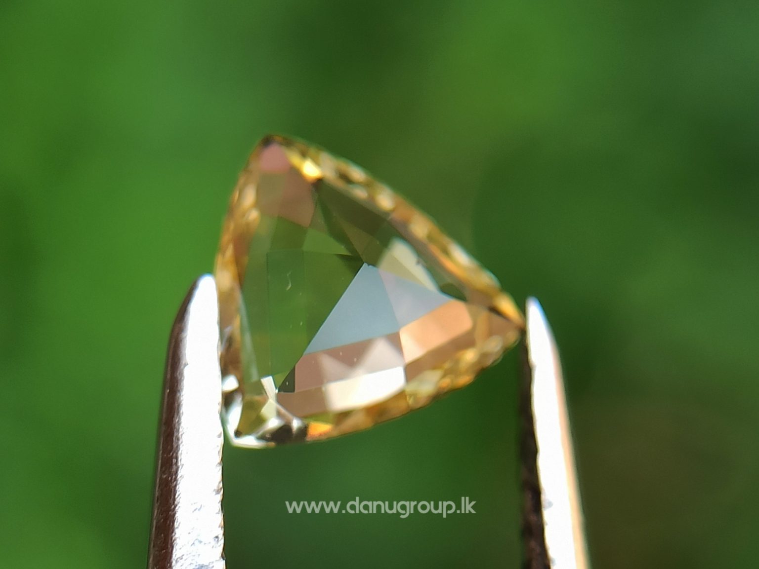 Ceylon Natural Yellow Sapphire - Danu Group Gemstones Collectiondanugroup.lk