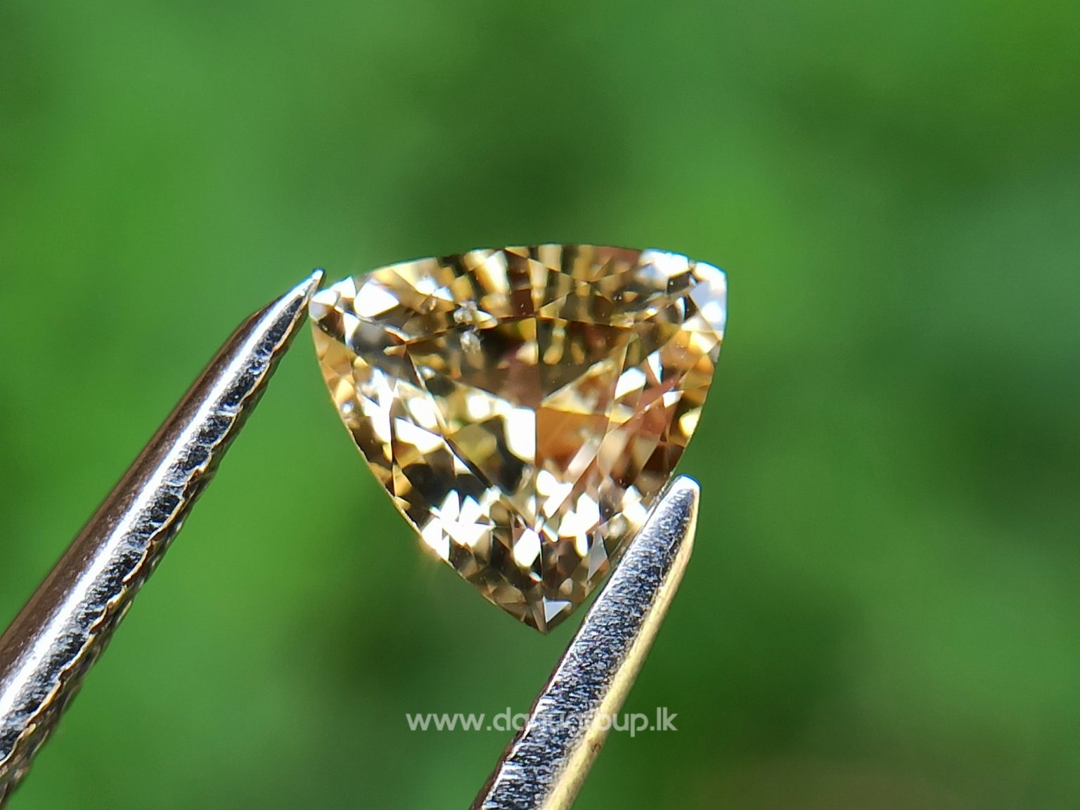 Ceylon Natural Yellow Sapphire - Danu Group Gemstones Collectiondanugroup.lk