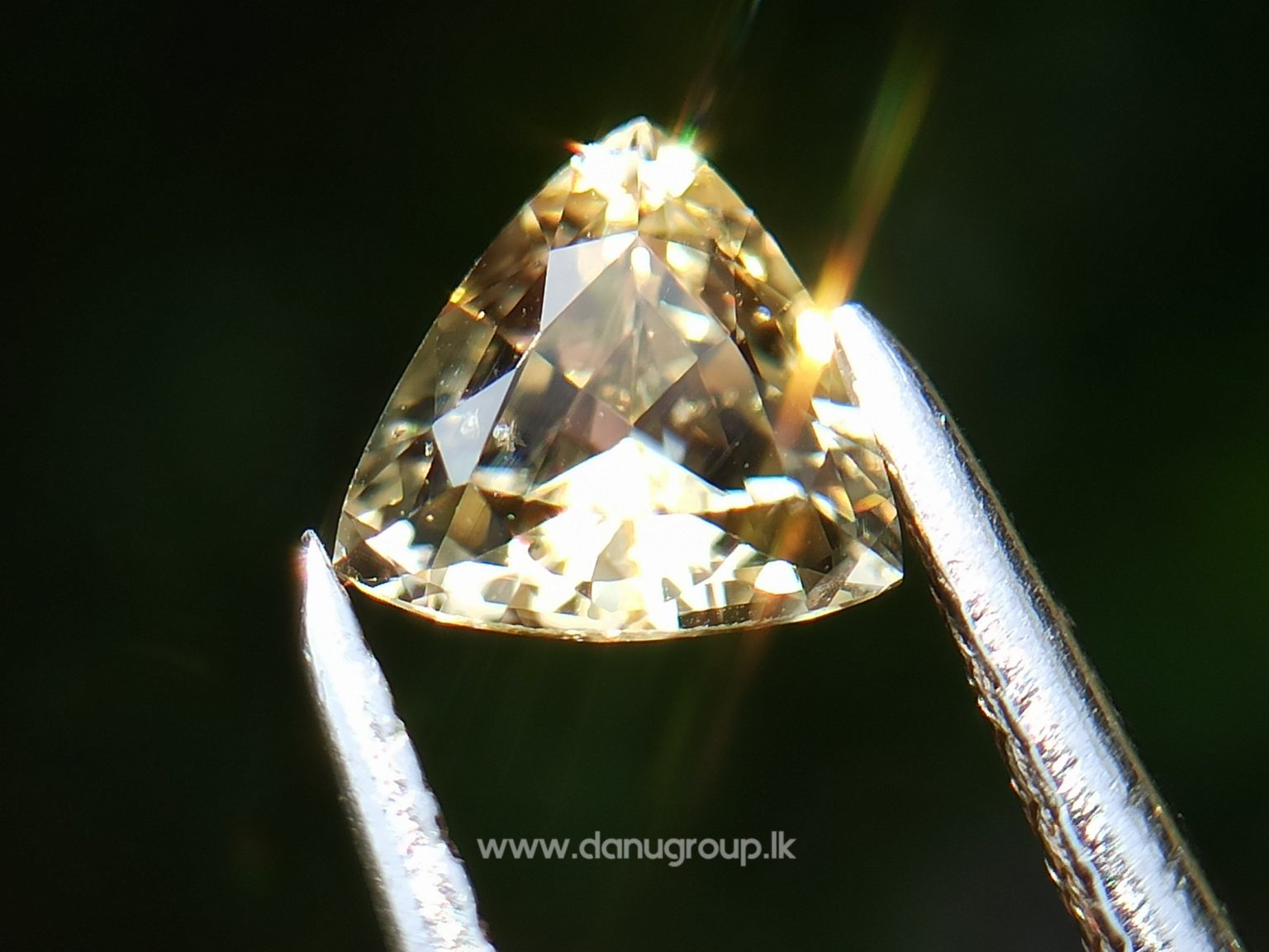 Ceylon Natural Yellow Sapphire - Danu Group Gemstones Collectiondanugroup.lk
