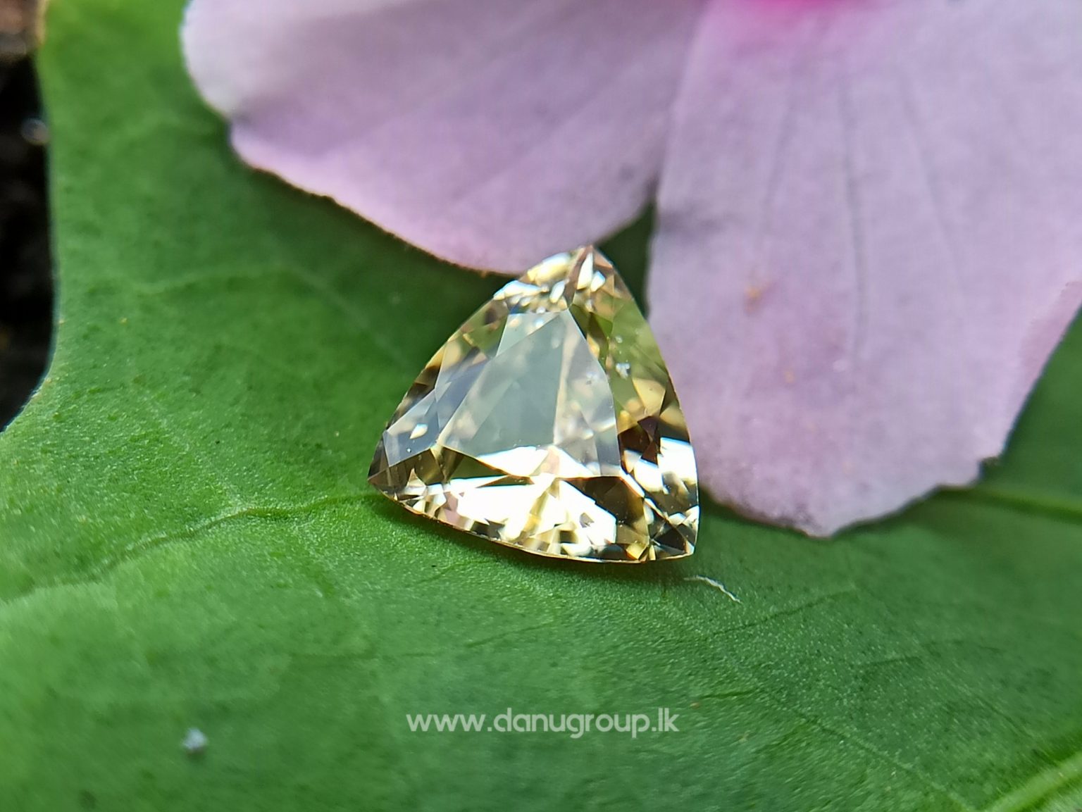 Ceylon Natural Yellow Sapphire - Danu Group Gemstones Collectiondanugroup.lk
