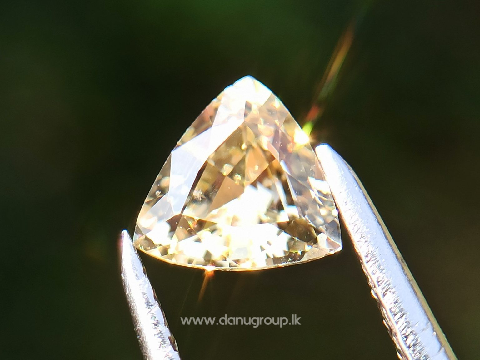 Ceylon Natural Yellow Sapphire - Danu Group Gemstones Collectiondanugroup.lk
