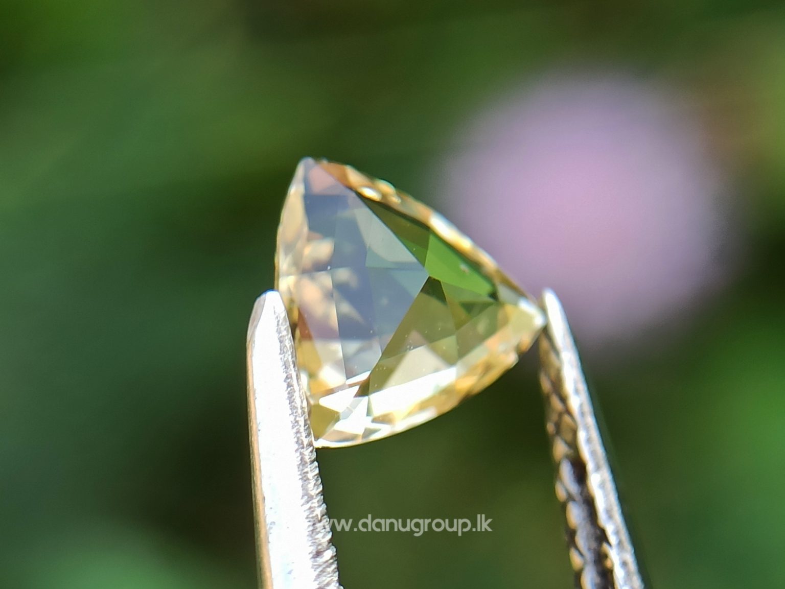 Ceylon Natural Yellow Sapphire - Danu Group Gemstones Collectiondanugroup.lk