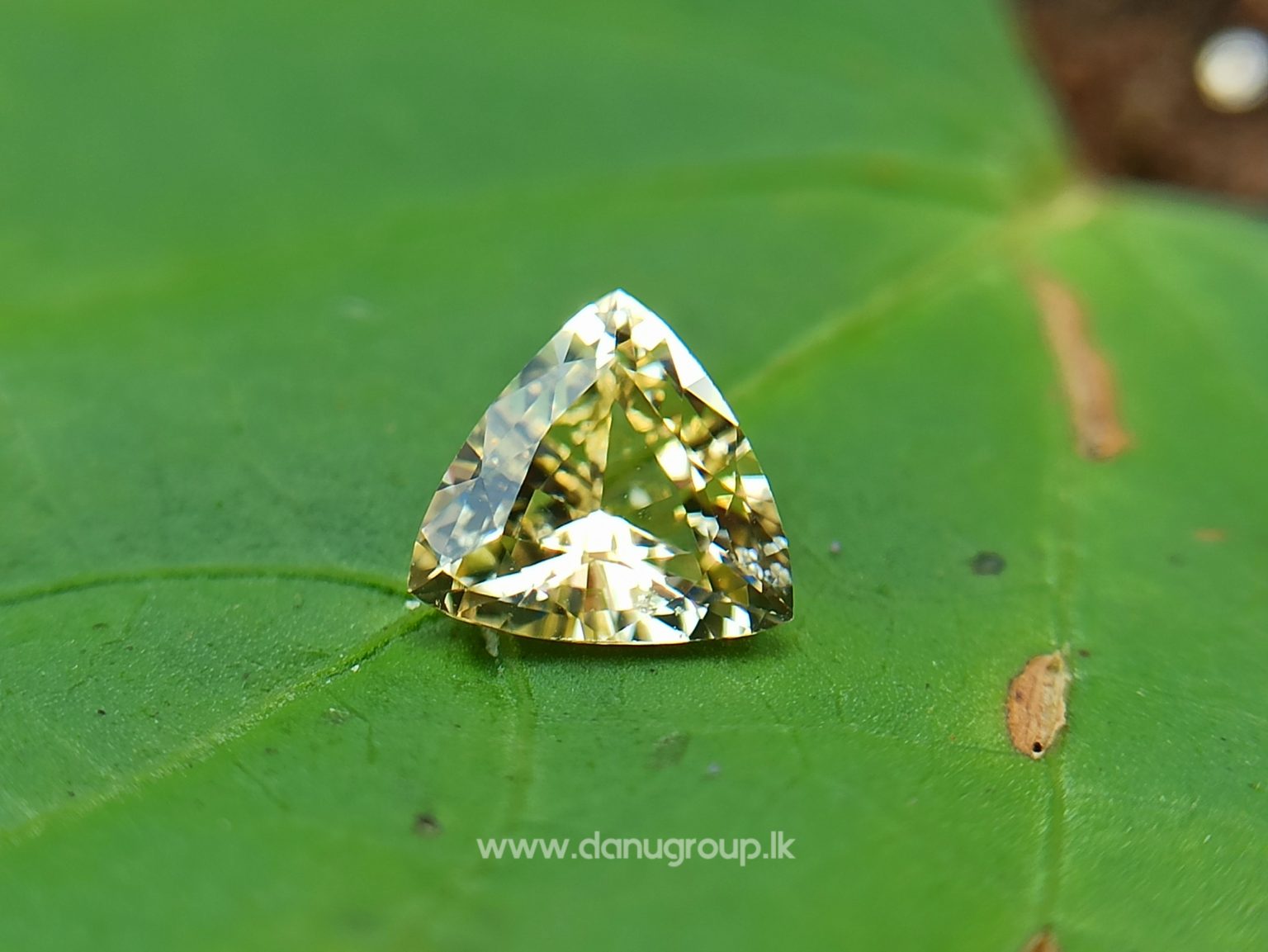 Ceylon Natural Yellow Sapphire - Danu Group Gemstones Collectiondanugroup.lk
