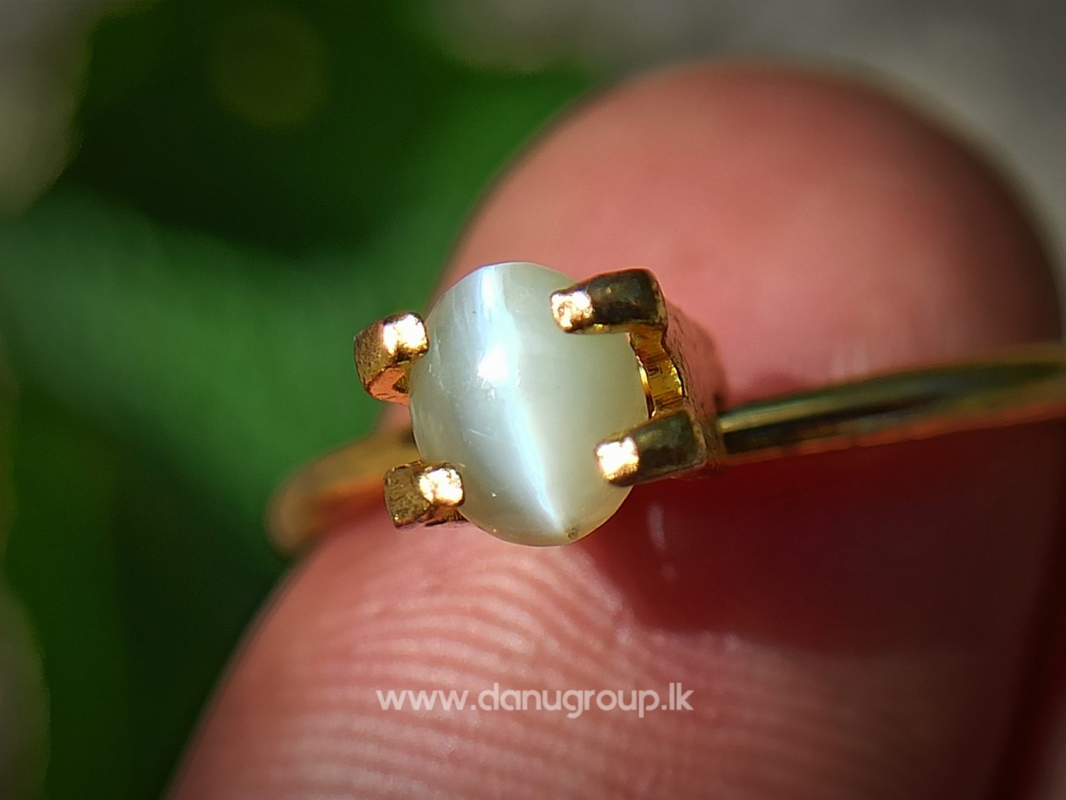 Ceylon Natural chrysoberyl cats eye from danu group light Greenish Yellow cats eye danugroup.lk
