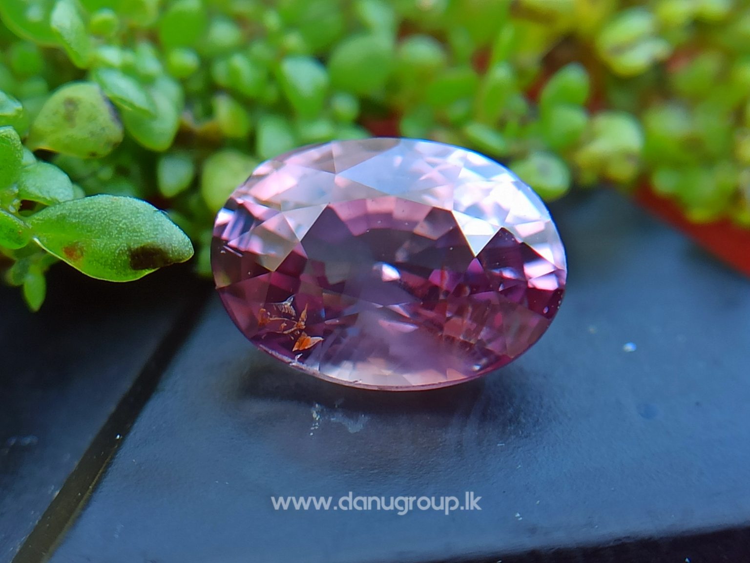Natural Brownish Purple Sapphire Oval shape gem from Danu Group - danugroup.lk