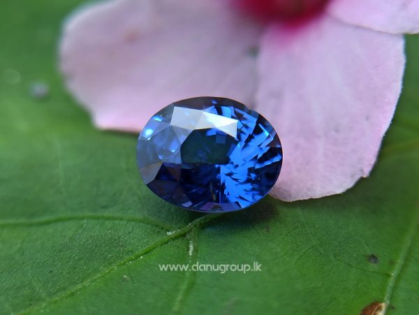 Real Old Peacock Colour - Ceylon Natural Peacock Blue Sapphire from Danu Group Gemstones Collection - danugroup.lk