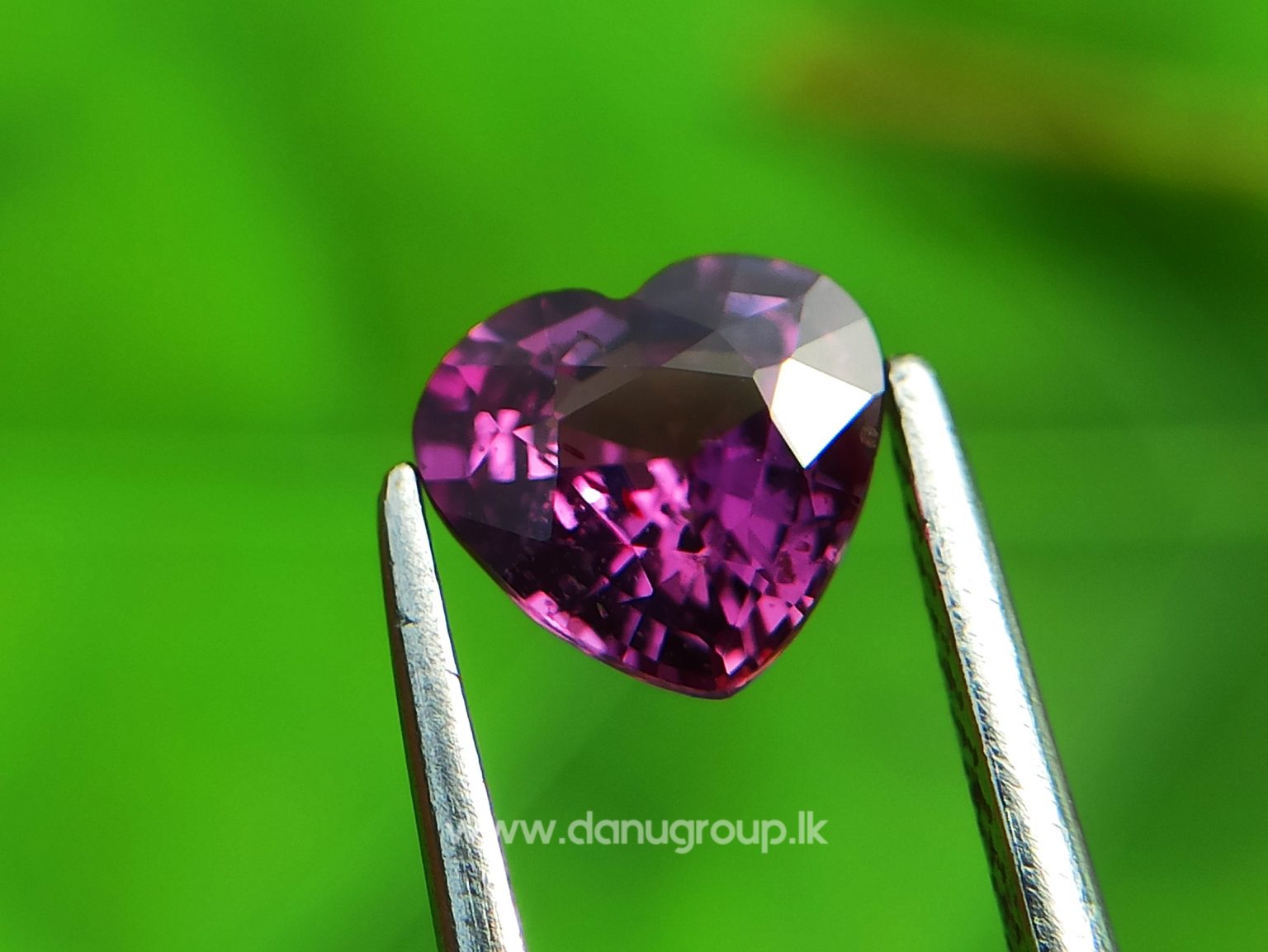 Ceylon Natural Vivid Pinkish Purple Sapphire Daju Group Gemstones Collections danugroup.lk