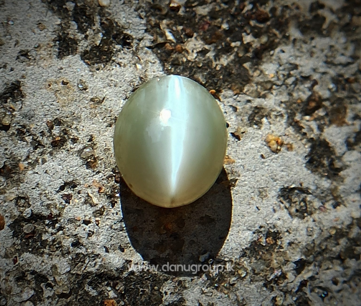 Ceylon Natural chrysoberyl cats eye from danu group light Greenish Yellow cats eye danugroup.lk