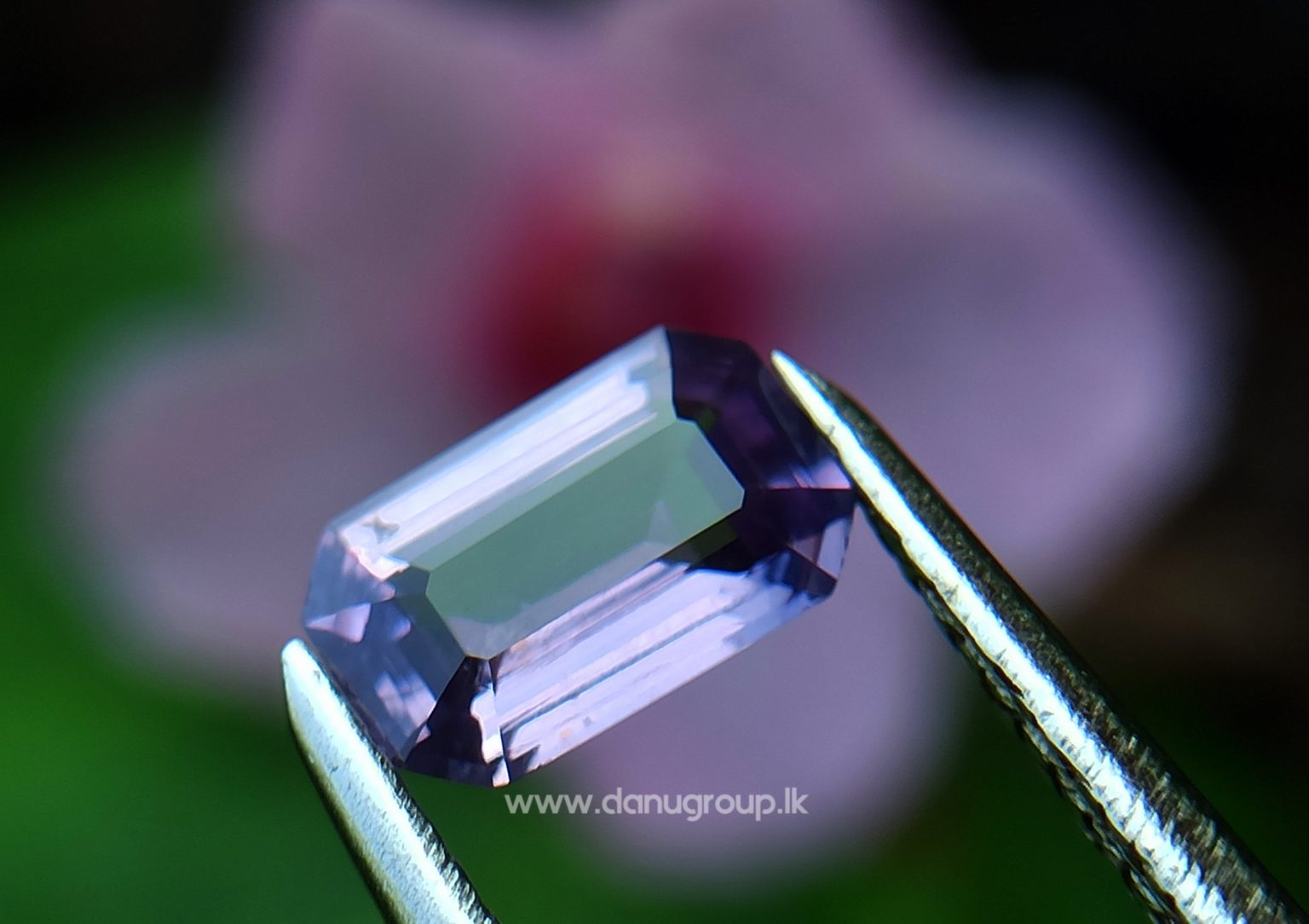 Ceylon Natural Pinkish-Purple Sapphire from Danu Group - One of the best calm colour from mother nature- danugroup.lk