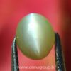 Ceylon Natural chrysoberyl cats eye from danu group light Greenish Yellow cats eye danugroup.lk