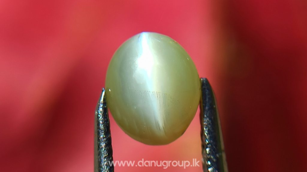 Ceylon Natural chrysoberyl cats eye from danu group light Greenish Yellow cats eye danugroup.lk