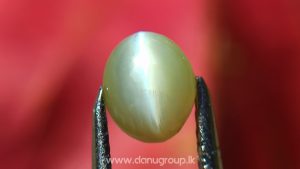 Ceylon Natural chrysoberyl cats eye from danu group light Greenish Yellow cats eye danugroup.lk