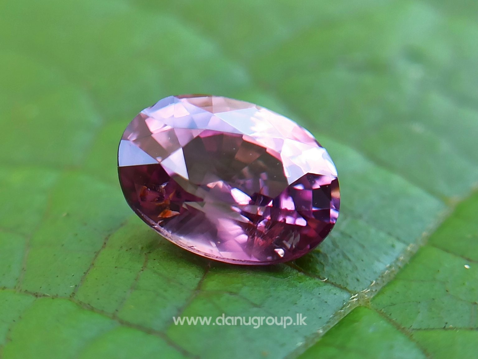Natural Brownish Purple Sapphire Oval shape gem from Danu Group - danugroup.lk