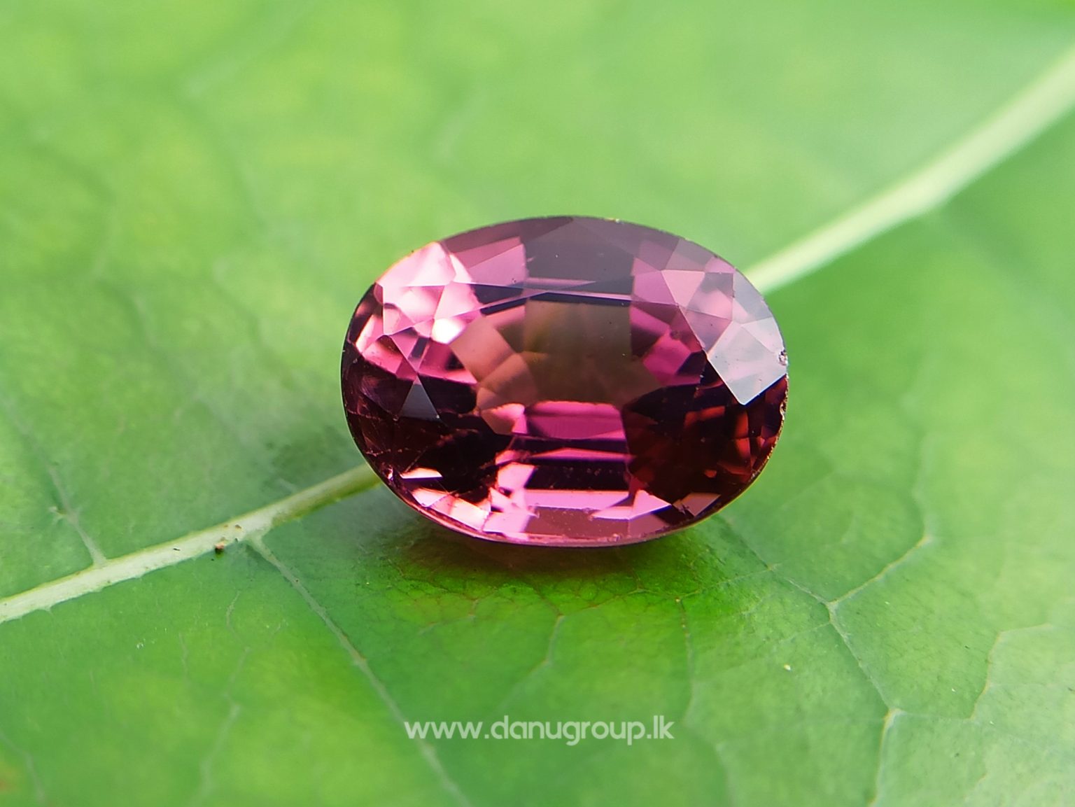 Natural Colour Change Tourmaline Changing Colour pink to orange danugroup.lk