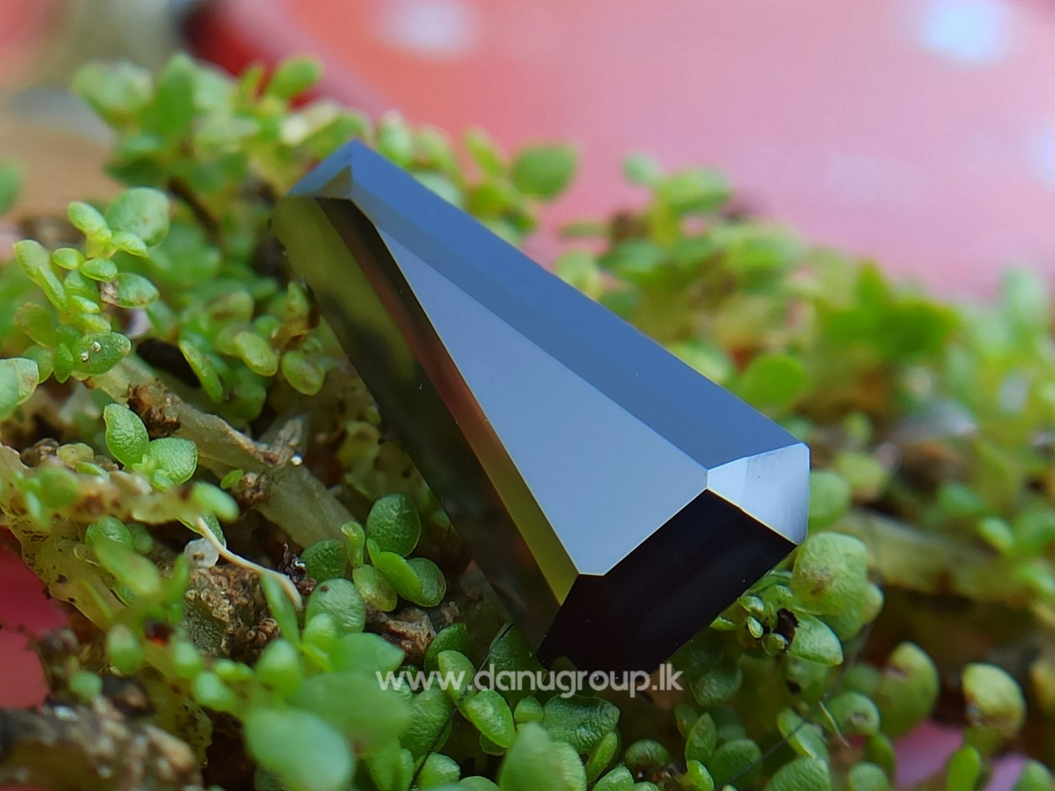 Ceylon Natural Dark Blue Sappphire Kaaka Neelam stone of planet saturn astrological gem danugroup.lk
