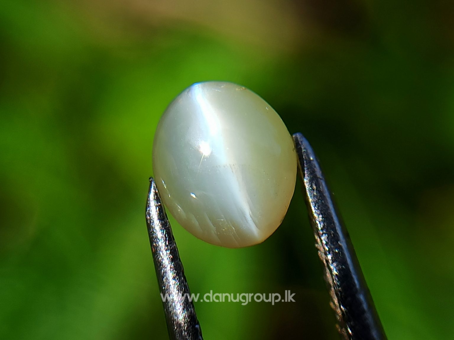 Ceylon Natural chrysoberyl cats eye from danu group light Greenish Yellow cats eye danugroup.lk